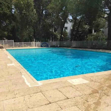 Le Dyonisos Et Piscine